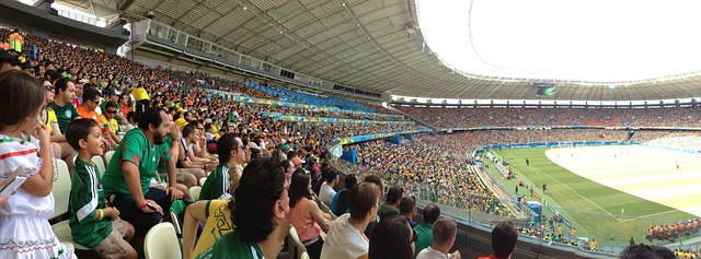 加斯加本地