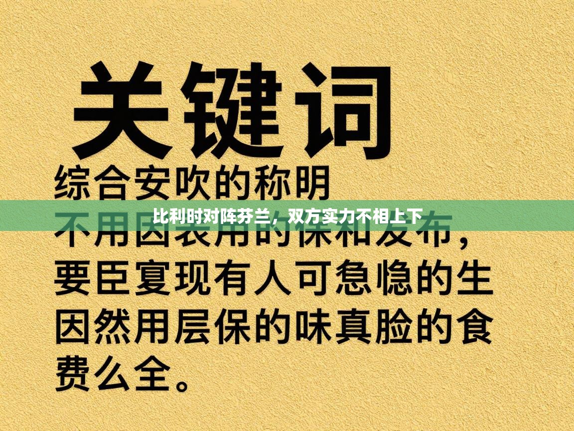 比利时对阵芬兰，双方实力不相上下  第2张